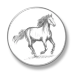 Logo of Horse Racing Latest News android Application 